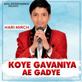 Koye Gavaniya Ae Gadye by Hari Mirch