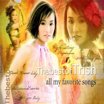 All My Favorite Songs by Trish Thuy Trang