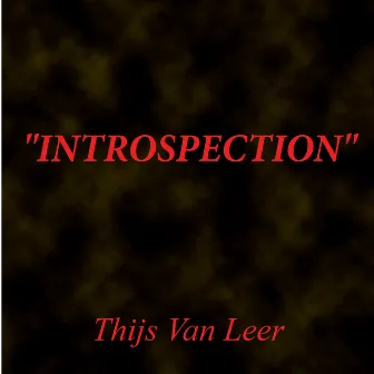 Introspection by Thijs van Leer