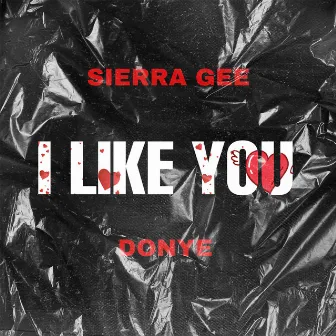 I LIKE YOU by Sierra Gee