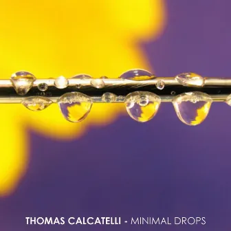 Minimal Drops by Thomas Calcatelli