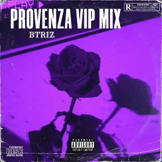 PROVENZA VIP MIX (Radio Edit) by BTRIZ