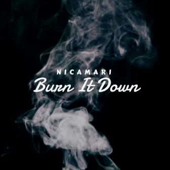 Burn It Down (Radio Edit) by Nicamari