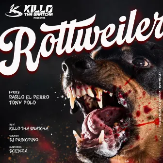 Rottweiler by Killo tha Snatcha