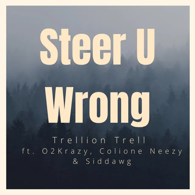 Steer U Wrong