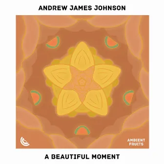 A Beautiful Moment by Andrew James Johnson