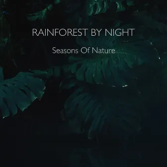 Rainforest By Night by Seasons Of Nature