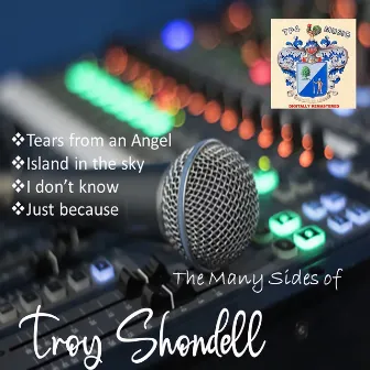 The Many Sides of Troy Shondell by Troy Shondell