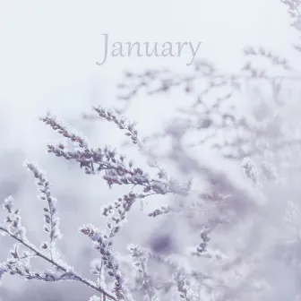 January by Yuforia