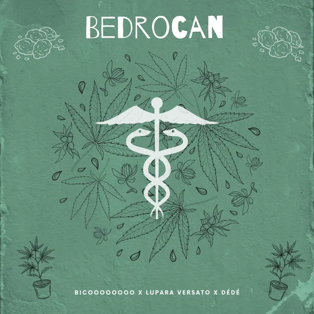 Bedrocan