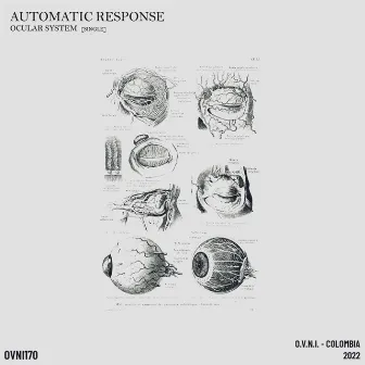 Ocular System by Automatic Response