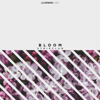 Bloom by Stripclub