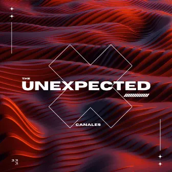 The Unexpected by Canales