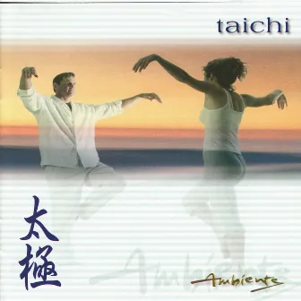 Ambiente: Tai Chi by Katie Hope