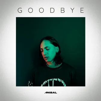 Goodbye by ANIBAL