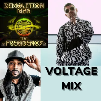 The Frequency (Voltage Mix) by Demolition Man