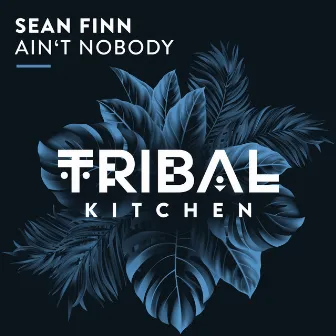 Ain't Nobody by Sean Finn