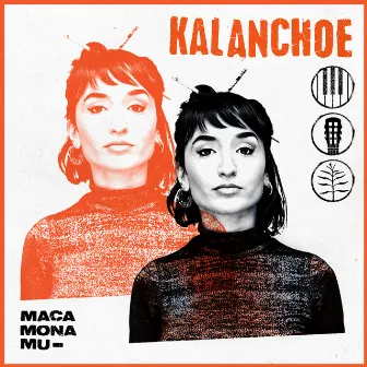 Kalanchoe by Maca Mona Mu