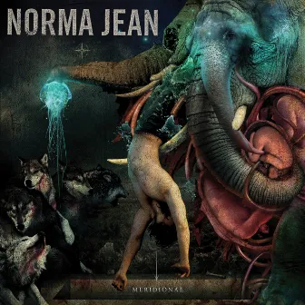 Meridional by Norma Jean