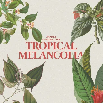 Tropical Melancolia by Zander