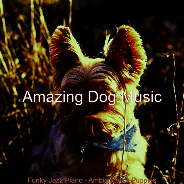 Funky Jazz Piano - Ambiance for Puppies