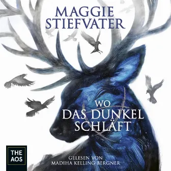 Wo das Dunkel schläft by Maggie Stiefvater