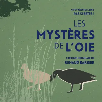 Pas si bêtes ! - Les mystères de l'oie (Bande originale de la série télévisée) by Renaud Barbier