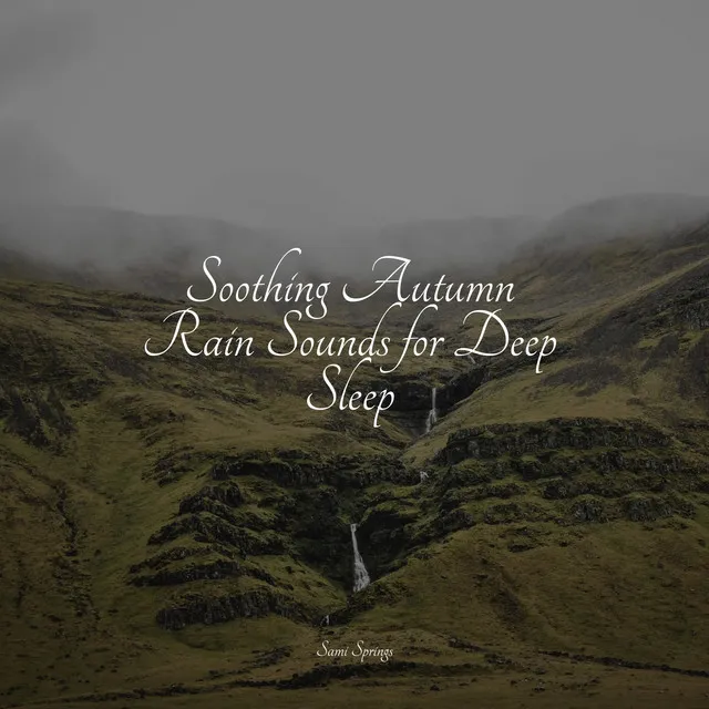 Soothing Autumn Rain Sounds for Deep Sleep