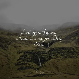 Soothing Autumn Rain Sounds for Deep Sleep by Chakra Meditation Universe