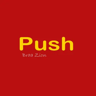 Push (Short Version) by Braa Zion