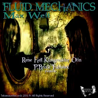 Fluid Mechanics by Max Weit