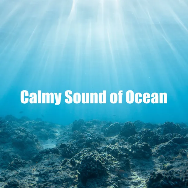 Calmy Sound of Ocean