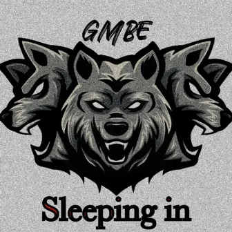 Sleeping in by Gmbe LOS