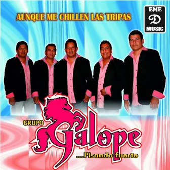 Auque Me Chillen Las Tripas by Grupo Galope