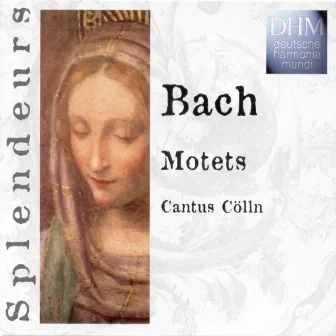 Bach: Motets by Cantus Cölln