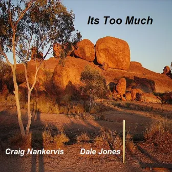 Its Too Much by Craig Nankervis