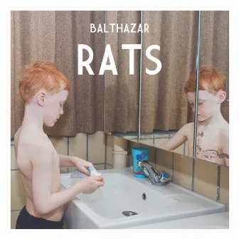 Rats by Balthazar