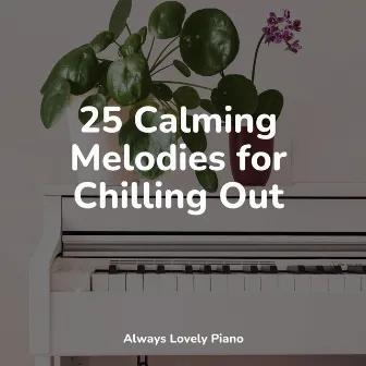 25 Calming Melodies for Chilling Out by Chillout Piano Session