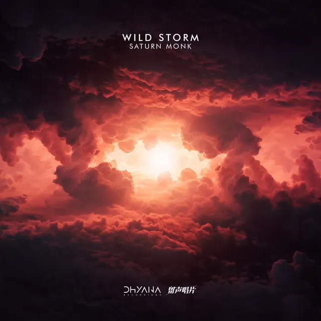 Wild Storm - Radio Mix