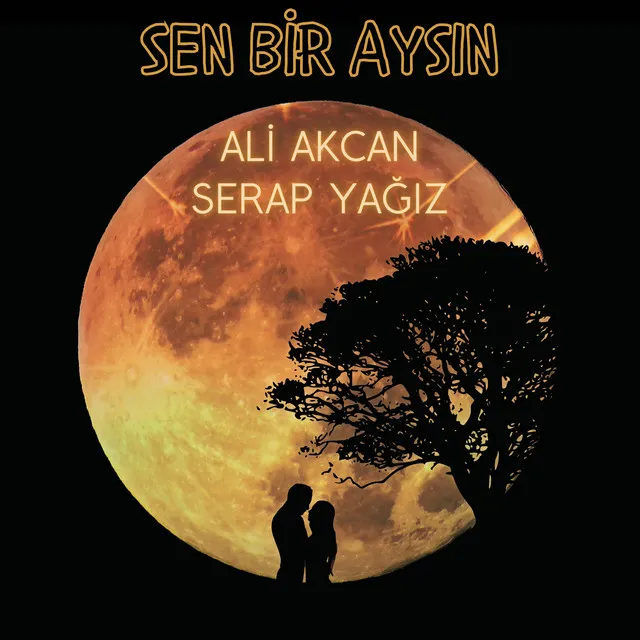 Sen Bir Aysın