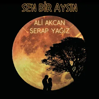 Sen Bir Aysın by Ali Akcan