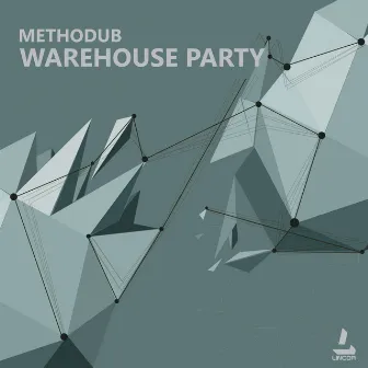 Warehouse Party by Methodub