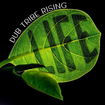 Life by Dub Tribe Rising