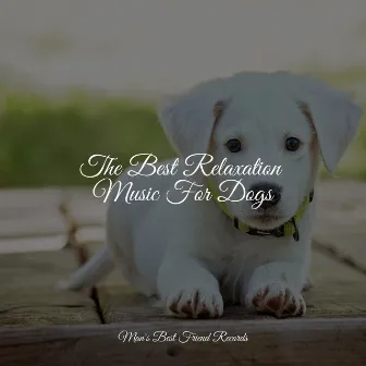 Ambient Collection For Dogs | Deep, Restful Sleep by Relaxmydog