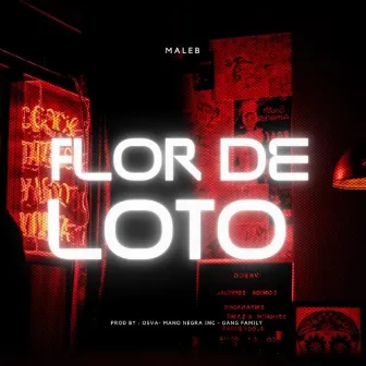 Flor de Loto by Unknown Artist