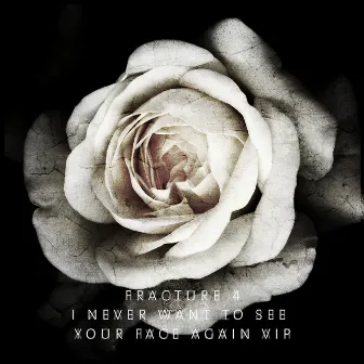 I Never Want to See Your Face Again VIP by Fracture 4