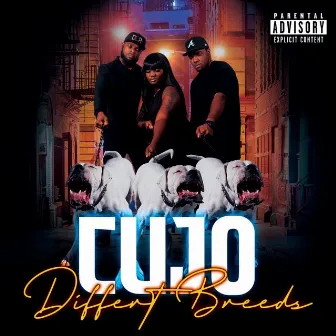 CuJo by Different Breeds