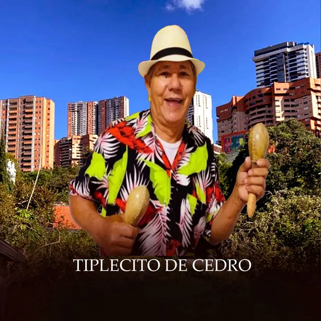 Tiplecito de Cedro