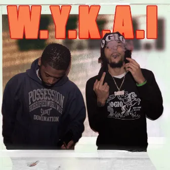 W.Y.K.a.I by KD