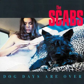 Dogs Days Are Over by The Scabs